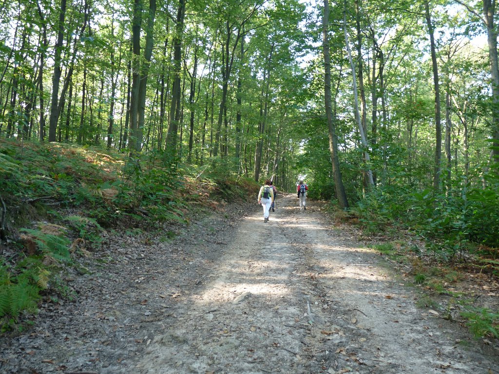 2014-09-14 Château de la Madeleine-0012.JPG
